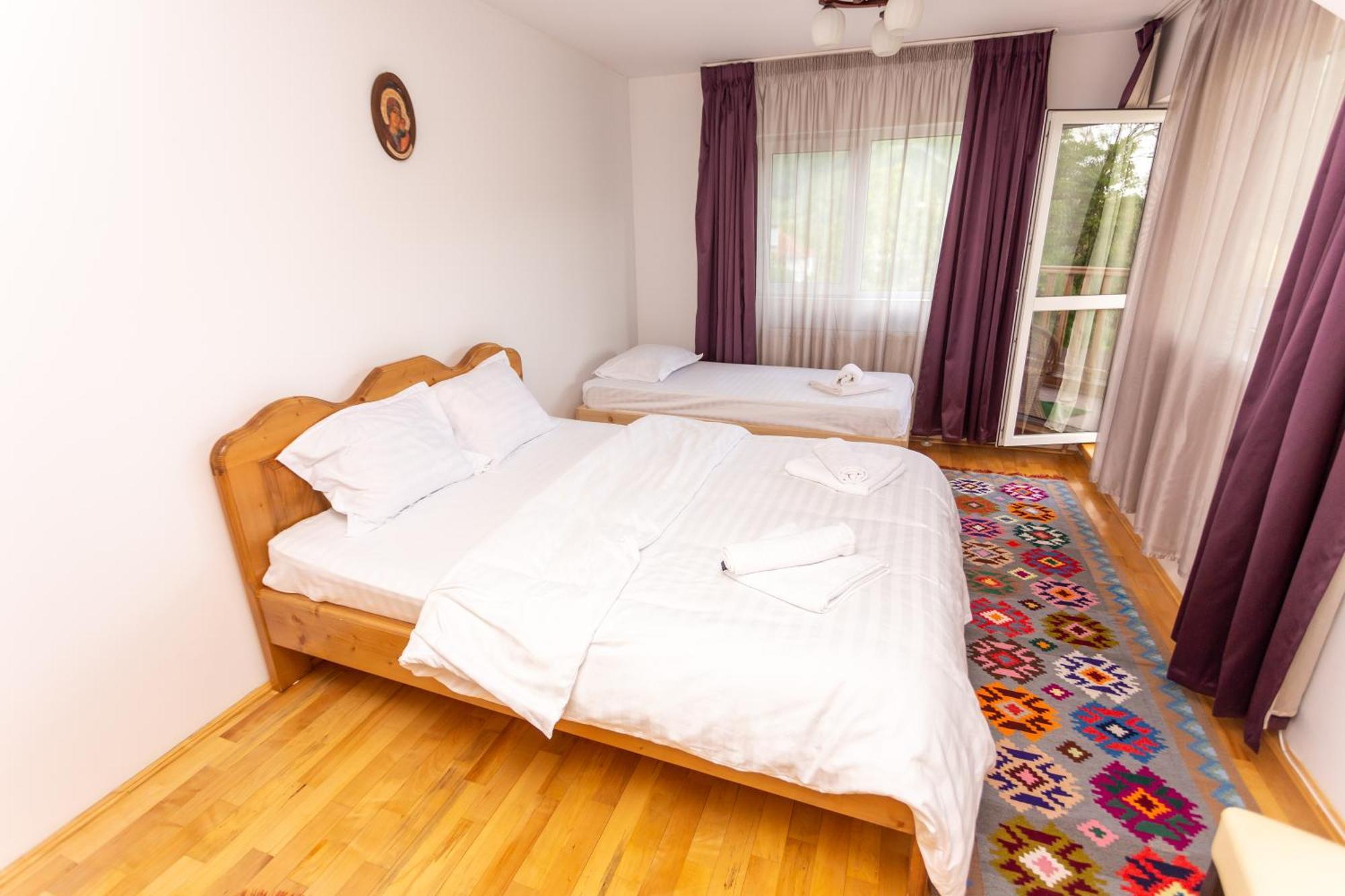 Casa Rumelia Paltineni エクステリア 写真