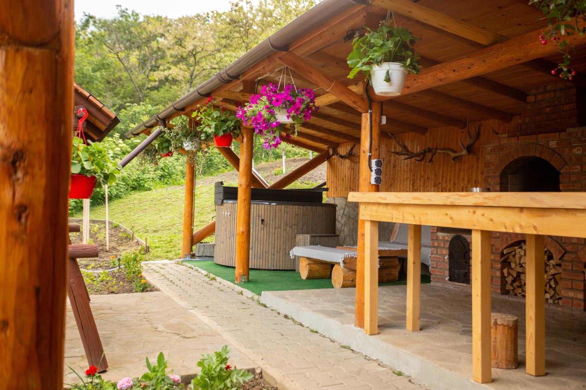 Casa Rumelia Paltineni エクステリア 写真