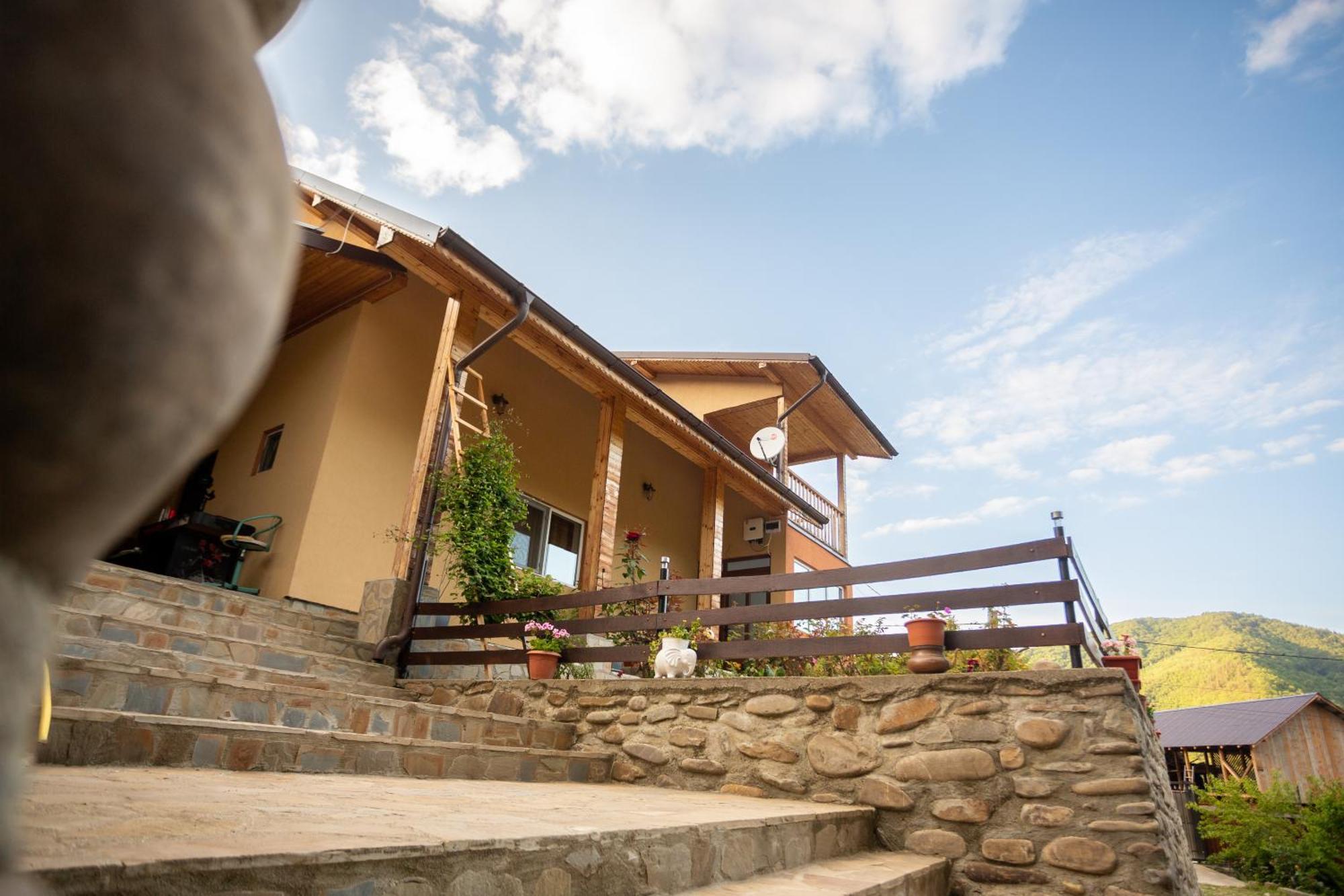 Casa Rumelia Paltineni エクステリア 写真