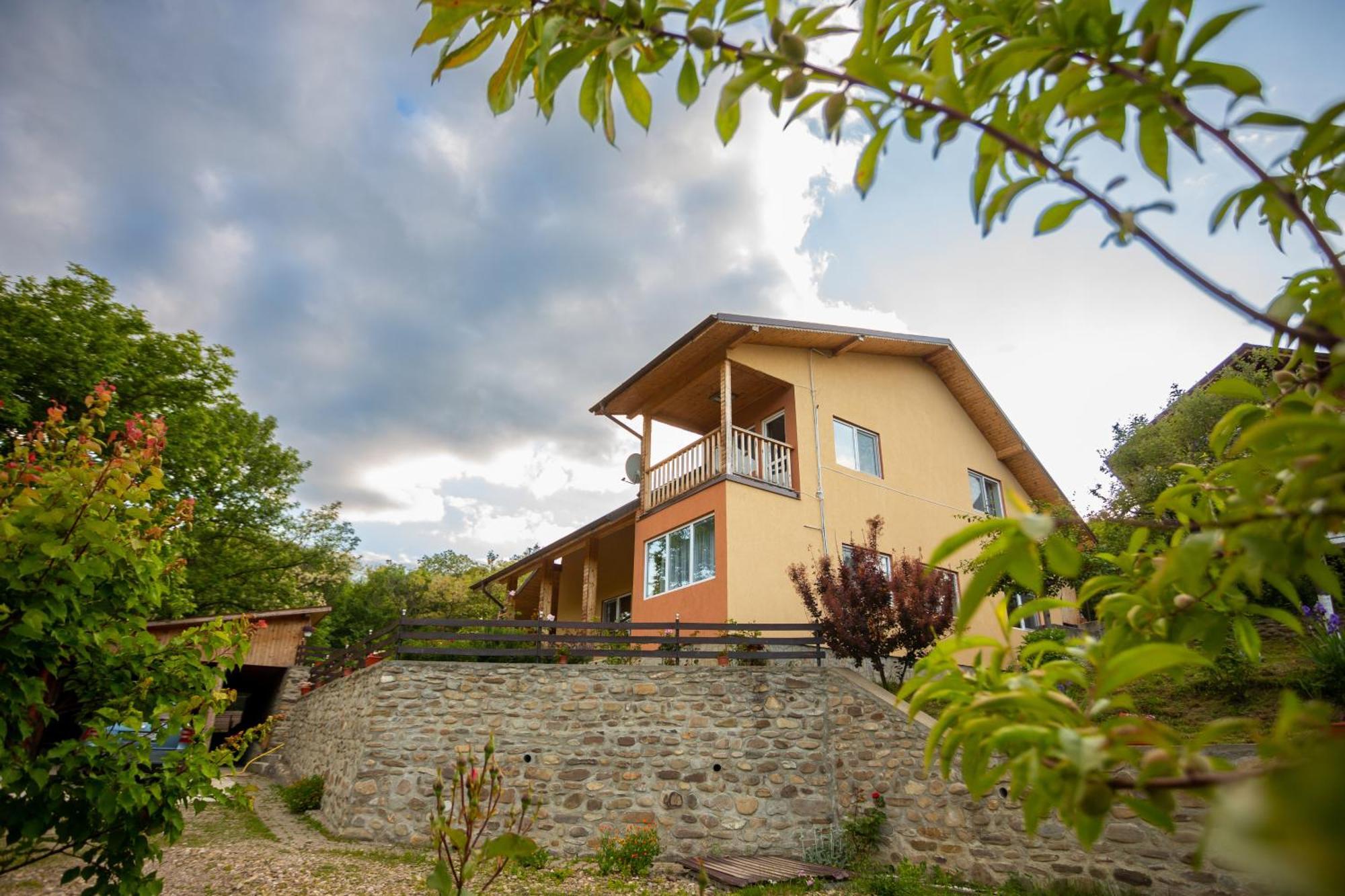 Casa Rumelia Paltineni エクステリア 写真