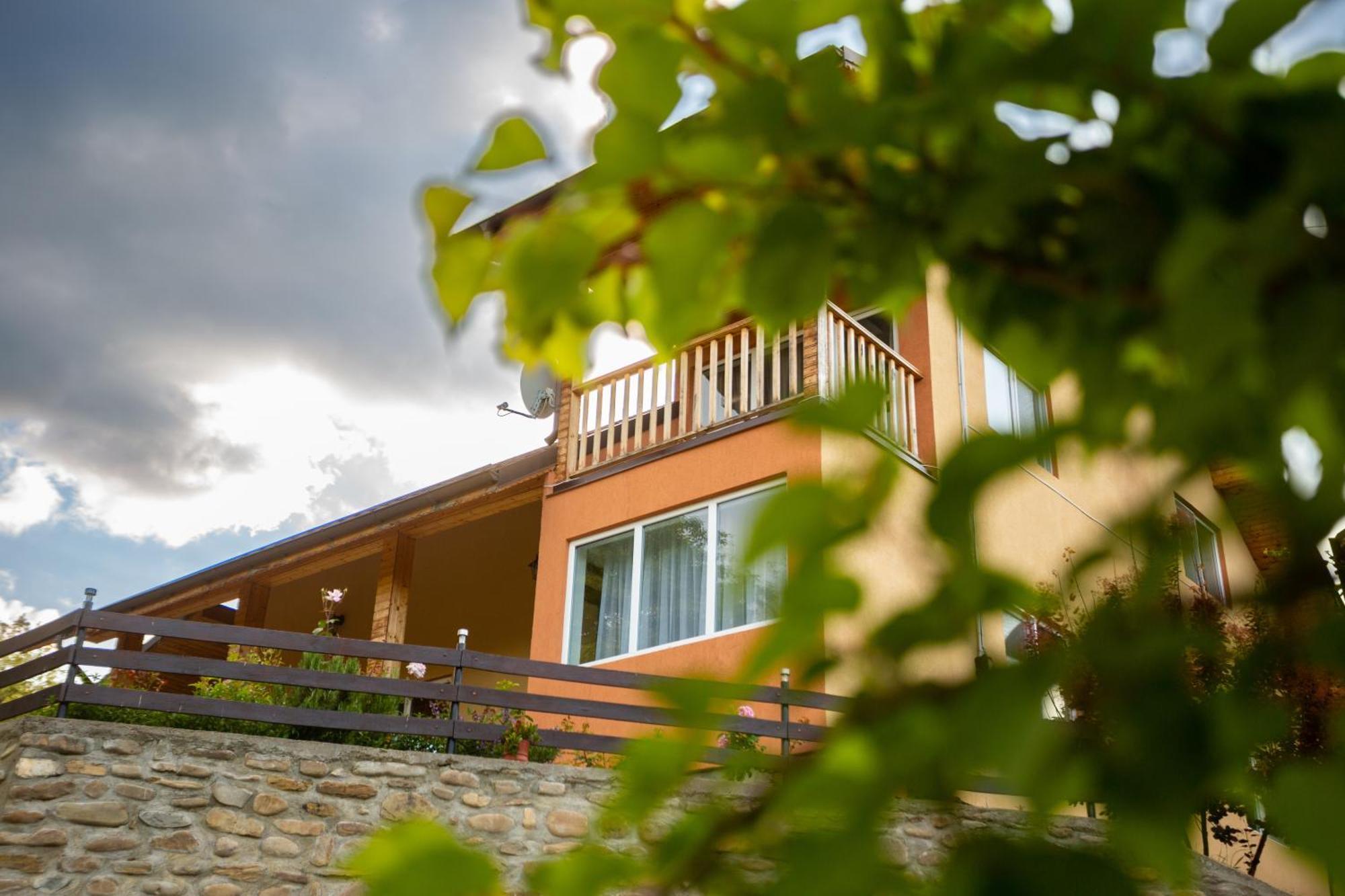 Casa Rumelia Paltineni エクステリア 写真