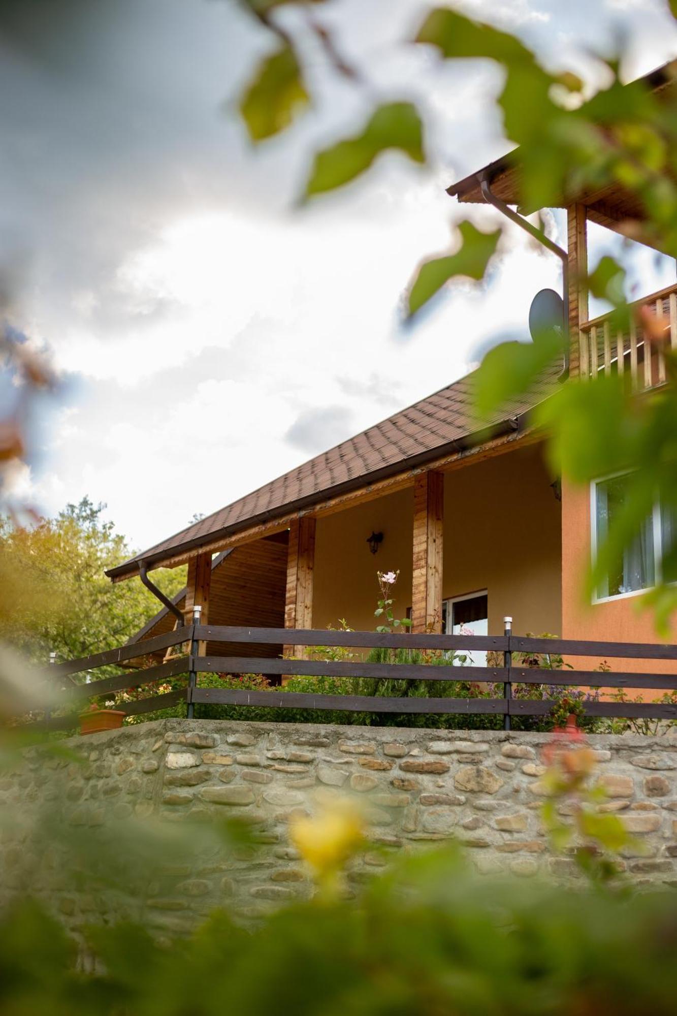 Casa Rumelia Paltineni エクステリア 写真