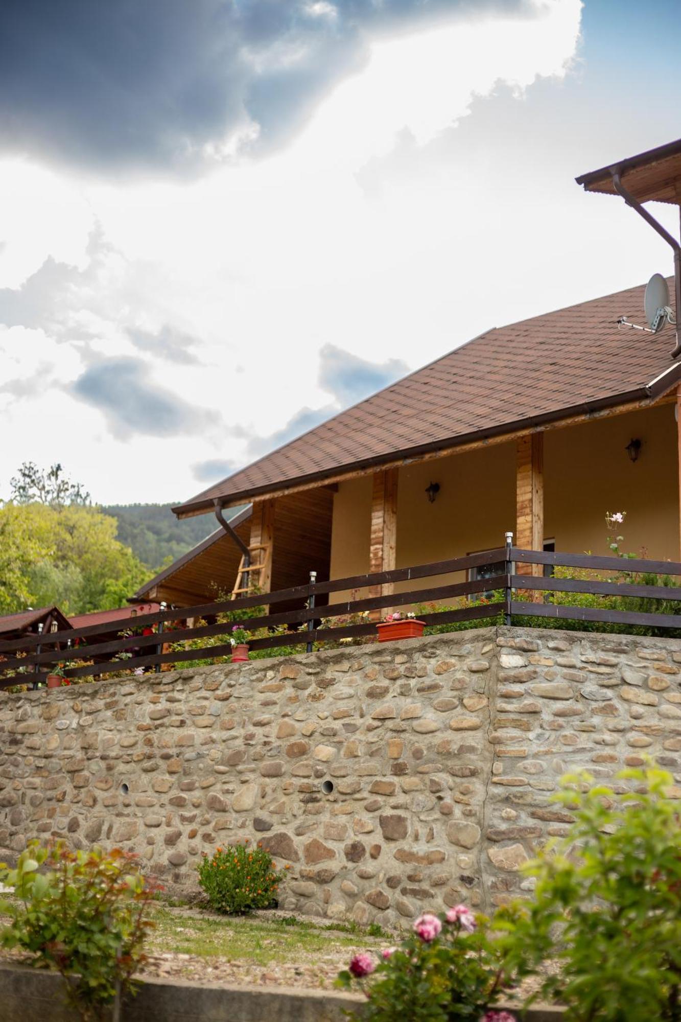 Casa Rumelia Paltineni エクステリア 写真