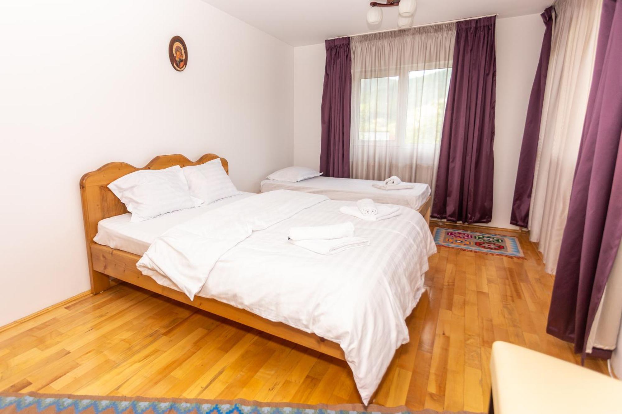 Casa Rumelia Paltineni エクステリア 写真