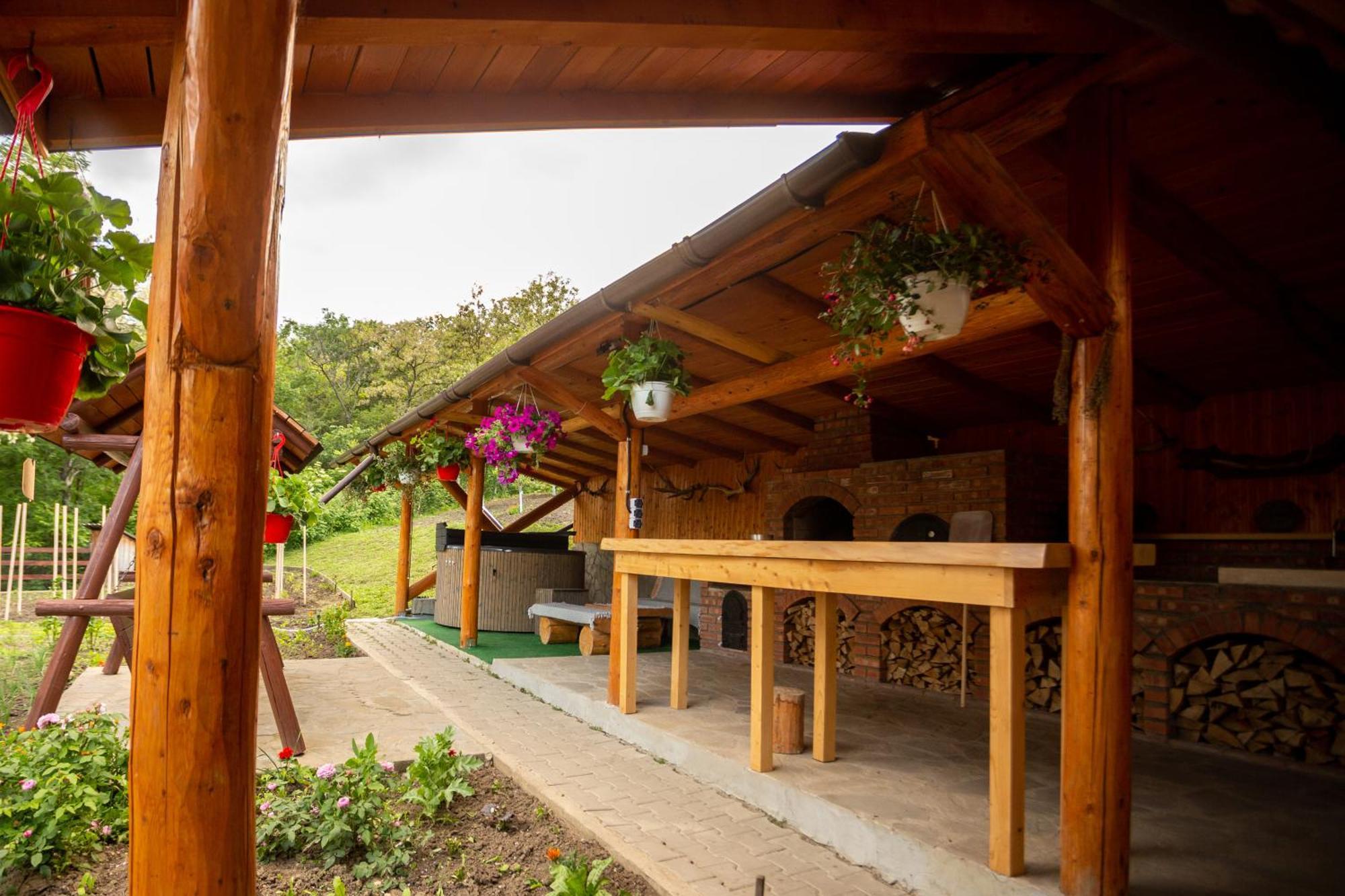 Casa Rumelia Paltineni エクステリア 写真
