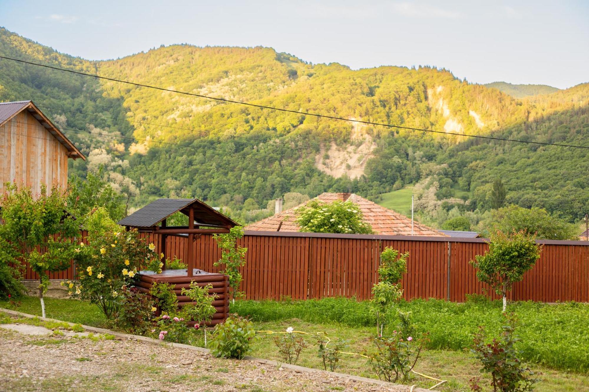 Casa Rumelia Paltineni エクステリア 写真