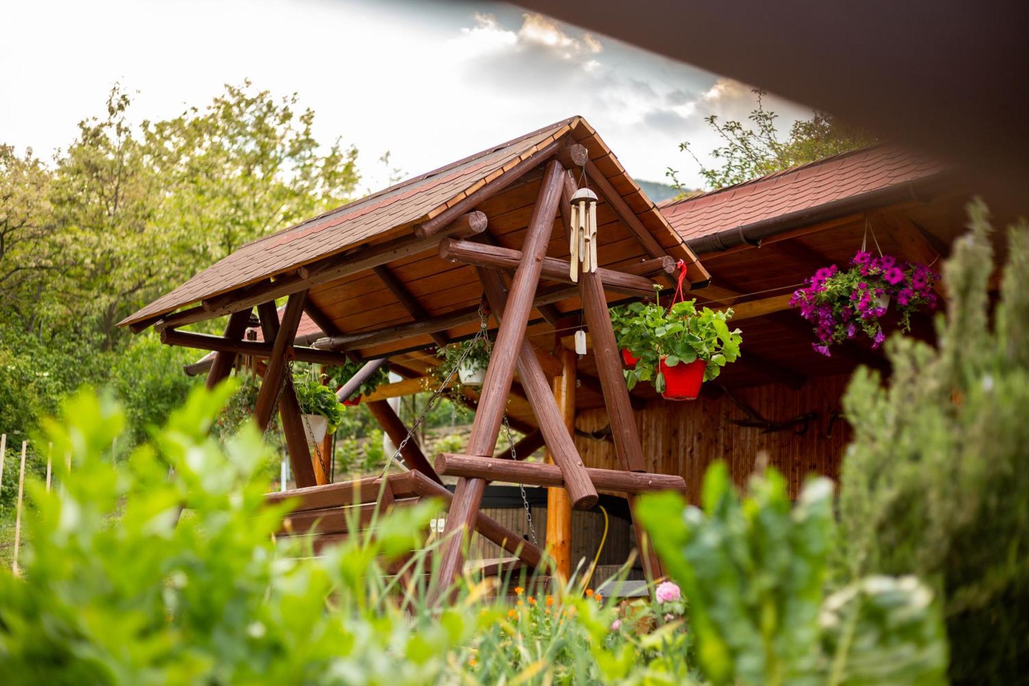 Casa Rumelia Paltineni エクステリア 写真