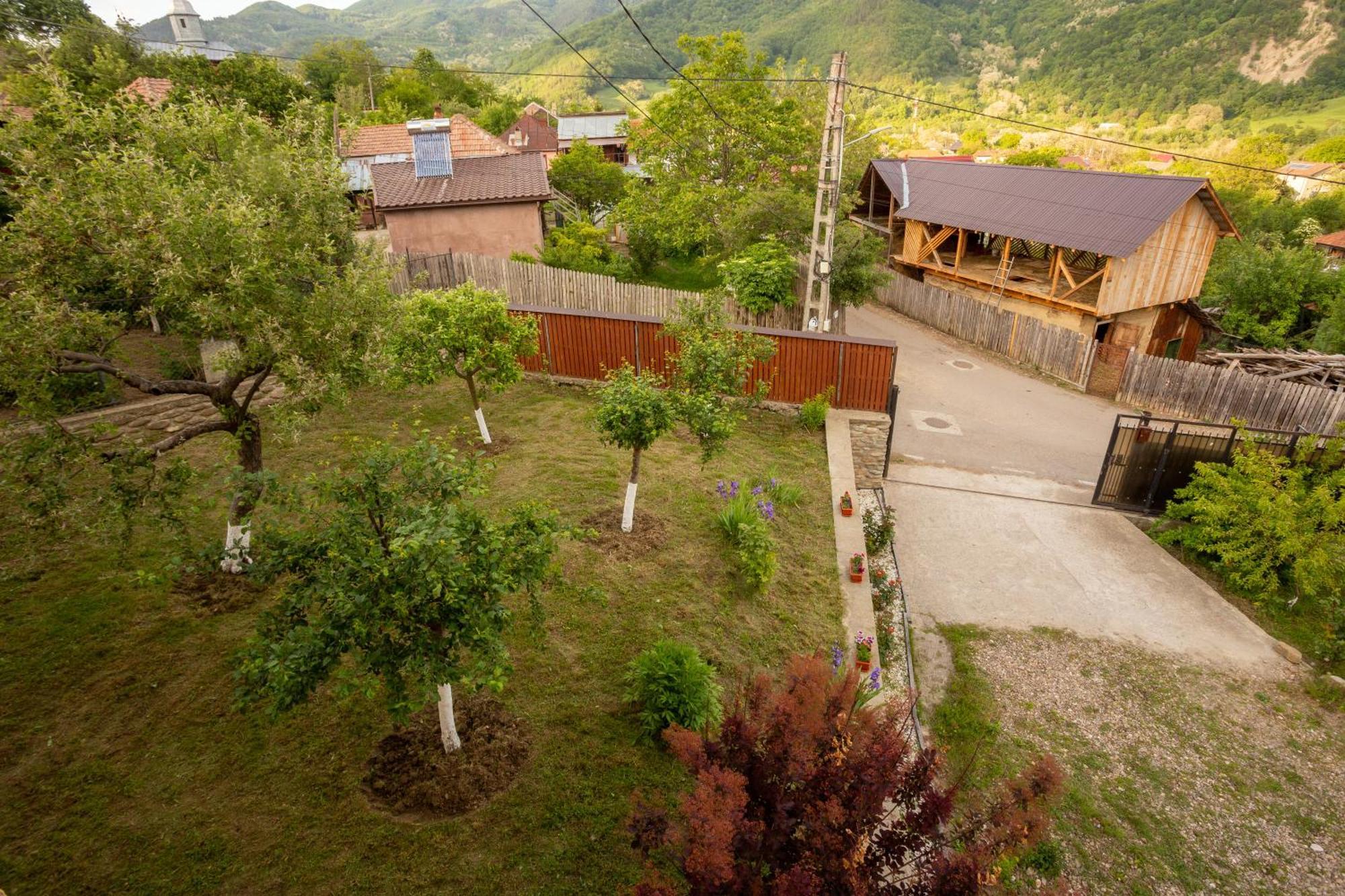 Casa Rumelia Paltineni エクステリア 写真
