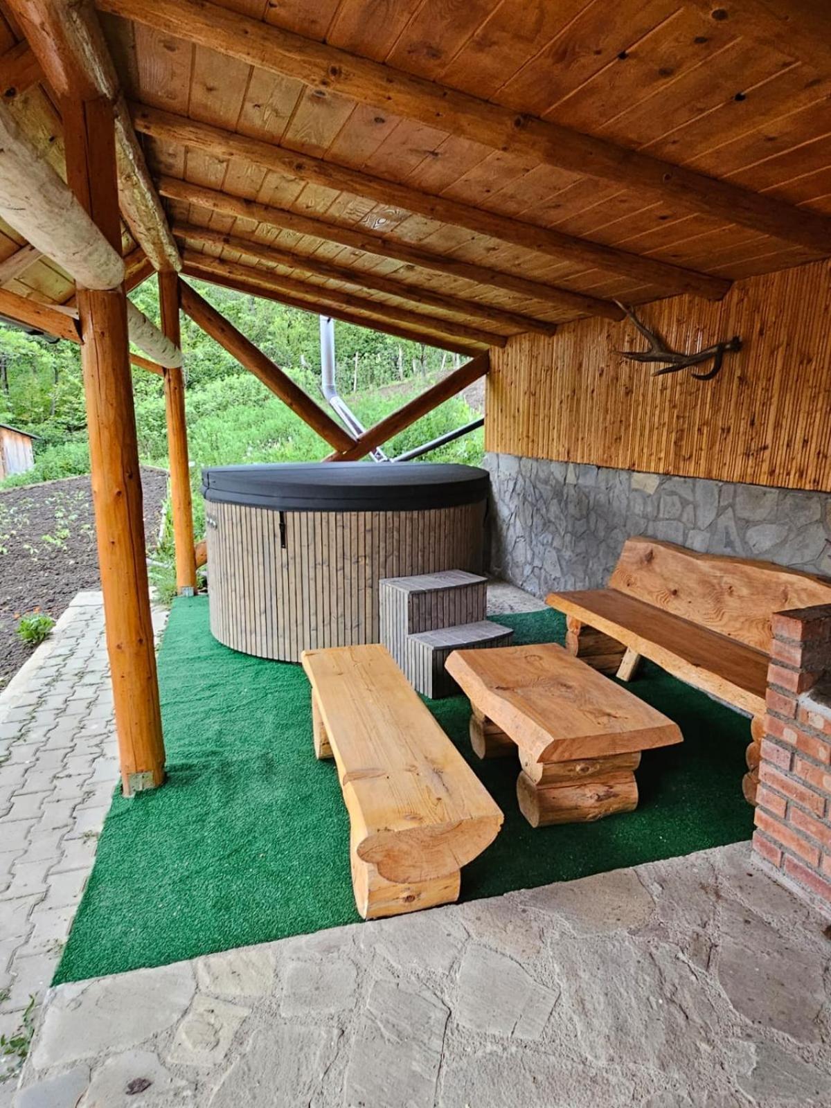 Casa Rumelia Paltineni エクステリア 写真